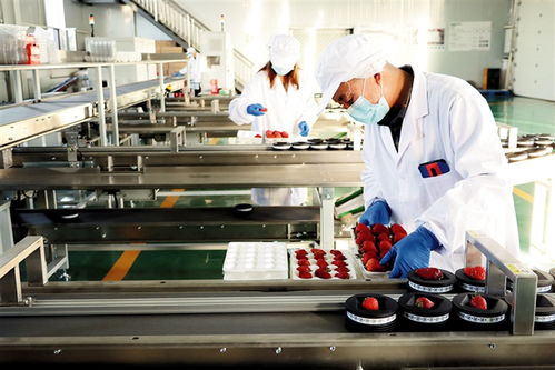 鄂爾多斯 建設農副產品電商服務中心，賦能養生保健服務新生態